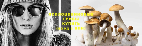метадон Армянск