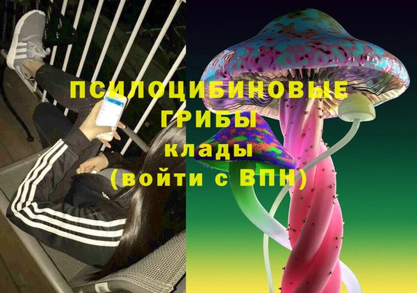 спиды Алексеевка