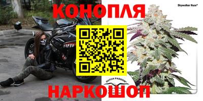 гидра Бузулук