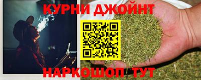 гидра Бузулук