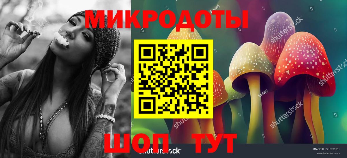 Псилоцибиновые грибы мухоморы  Вход с VPN  Лесной  Галлюциногенные грибы прущие грибы 
