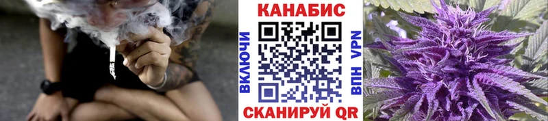сколько стоит  kraken онион  Бошки Шишки конопля  Лесной 